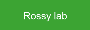 AG Rossy